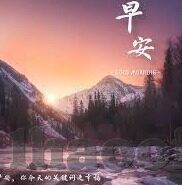 踢足球比分-绿茵场上的数字交响，解码踢足球比分的艺术与激情