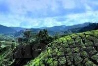 足球比分中奖票-从足球比分中奖票到人生转折，一场绿茵场外的惊喜与思考