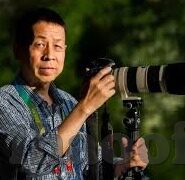 足球即时.比分-足球即时比分，数字背后的激情与策略交响曲